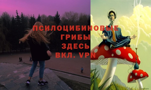 MDMA Алексин